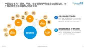 中國互聯網母嬰市場年度綜合分析2018