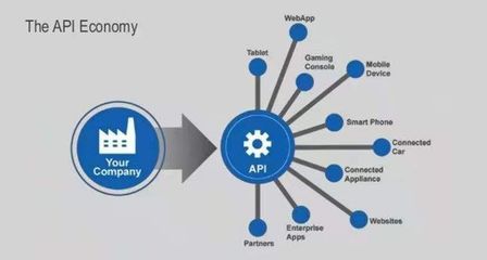 當(dāng)API成為服務(wù) 互聯(lián)網(wǎng)數(shù)據(jù)服務(wù)的新范式